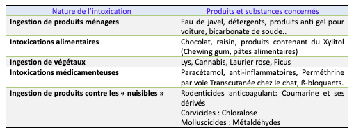 Fiche info Languedocia - Les Intoxications